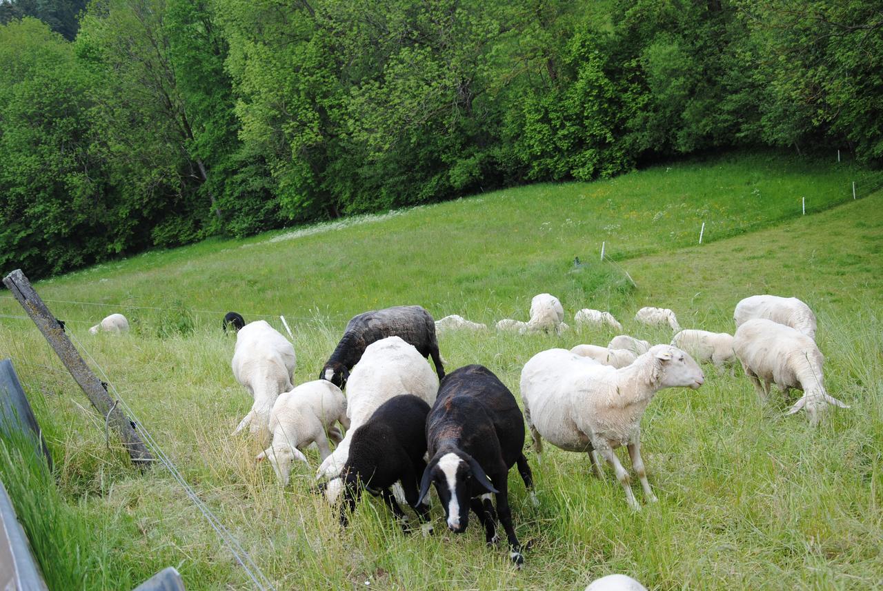 Landgasthof Seyrlberg Reichenau im Mühlkreis Dış mekan fotoğraf